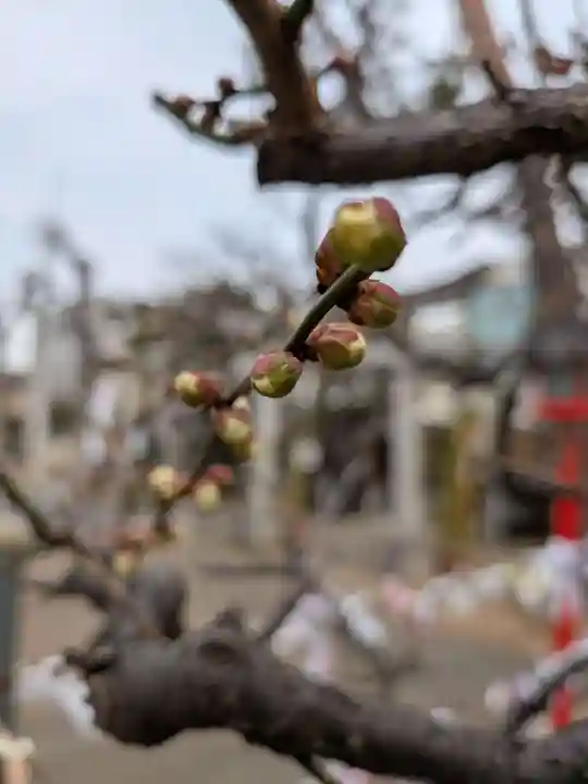 久富稲荷神社(東京都)