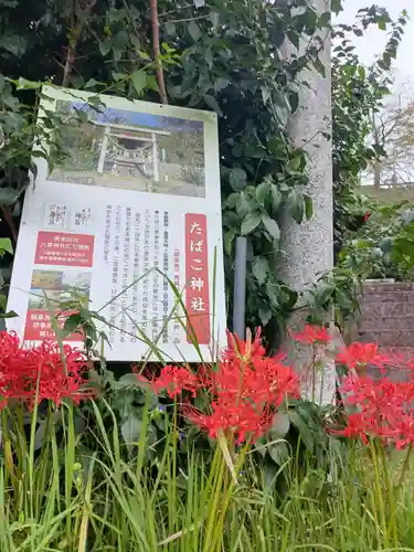 たばこ神社の建物その他