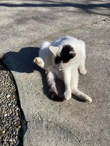 真野寺(千葉県)