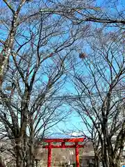 子檀嶺神社(長野県)