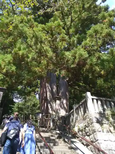 戸隠神社中社(長野県)