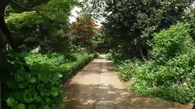 龍真寺(群馬県)