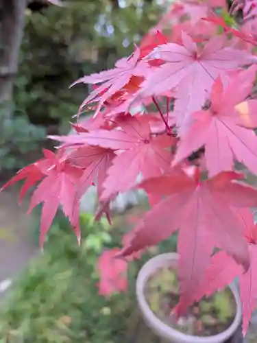 猿江神社(東京都)