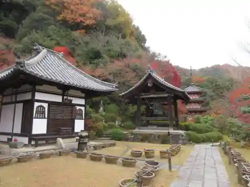 三室戸寺(京都府)