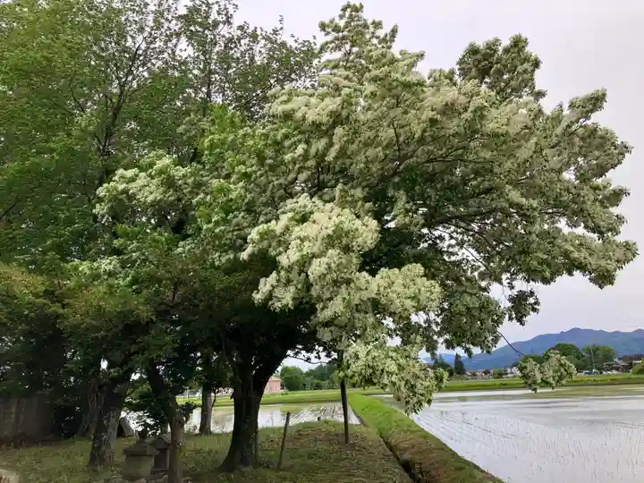 高柳温泉神社(栃木県)