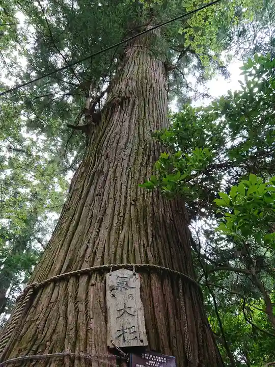 塩原八幡宮のその他建物