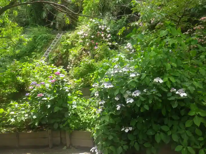 御霊神社の自然