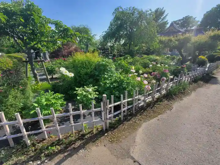 明王院(松林寺)(群馬県)