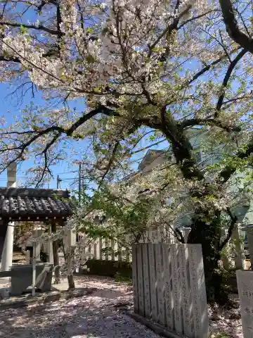 菅原神社の{uncategorized: "未分類", other: "その他", undefined: "問題あり", building: "その他建物", grave: "お墓", sacred_gate: "鳥居", guardian: "狛犬", statue: "像", buddha: "仏像", history: "歴史", nature: "自然", garden: "庭園", animal: "動物", pagoda: "塔", temizu: "手水舎", mountain_gate: "山門・神門", sanctuary: "本殿・本堂", subordinate: "末社・摂社", art: "芸術", scenery: "景色", jizo: "地蔵", ema: "絵馬", goshuin: "御朱印", omikuji: "おみくじ", items: "授与品その他", amulet: "お守り", goshuincho: "御朱印帳", eats: "食事", festival: "お祭り", votive_dance: "神楽", shichigosan: "七五三参", wedding: "結婚式", experience: "体験その他", initially: "初詣", around: "周辺", anti_infection: "感染症対策"}