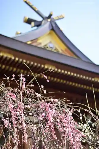 湯島天満宮の自然
