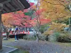 高野山金剛峯寺奥の院(和歌山県)