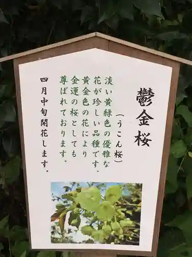 白笹稲荷神社の歴史