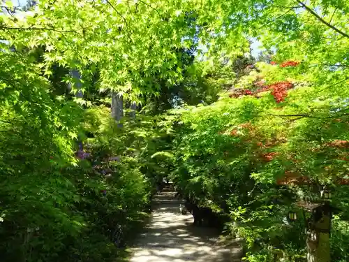 国宝　長寿寺(滋賀県)