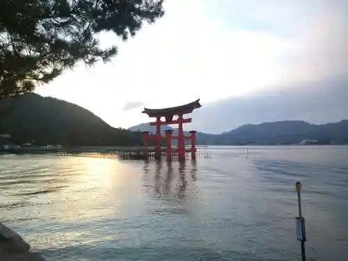 厳島神社の鳥居