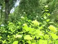 明月院(神奈川県)