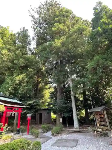 津田天満宮(滋賀県)