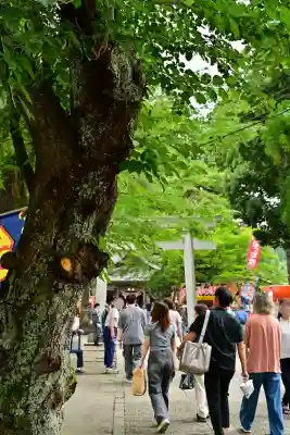 浅原神社(新潟県)