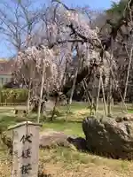 弘法寺(千葉県)