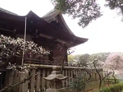 道明寺天満宮の本殿・本堂