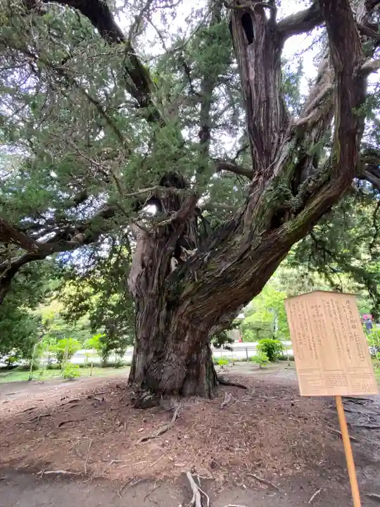 建長寺(神奈川県)