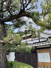 大覚寺の建物その他