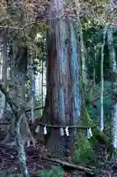 貴船神社奥宮(京都府)