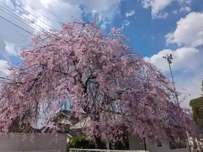 西光寺(山梨県)