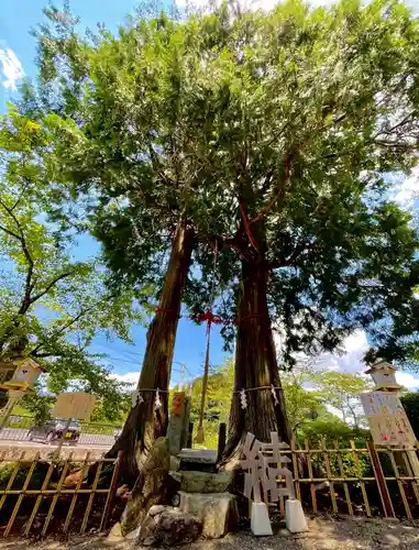 武雄神社(佐賀県)