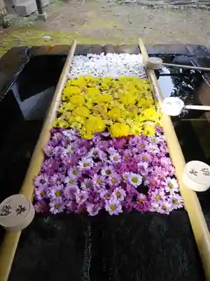 土津神社|こどもと出世の神さまの手水舎