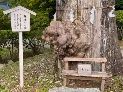 中禅寺(栃木県)