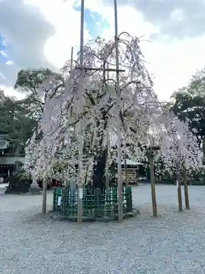 大國魂神社(東京都)