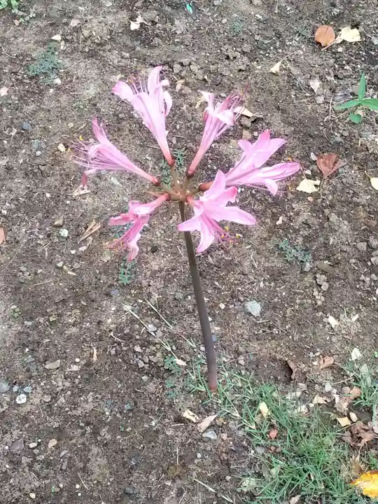 横浜 西方寺の自然