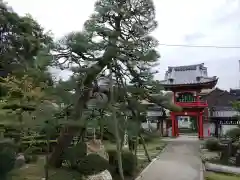 瑞応寺(岐阜県)