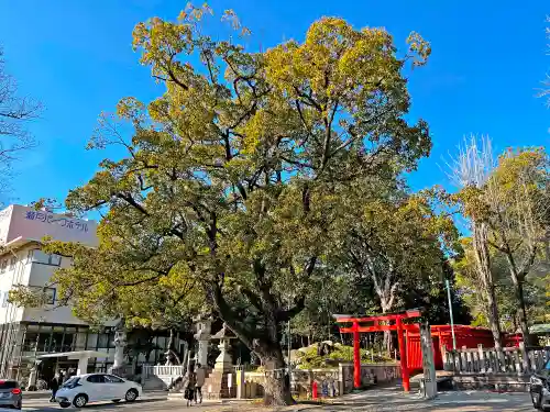 深川神社(愛知県)