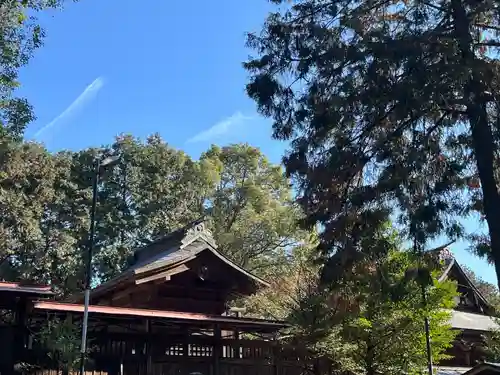 出雲伊波比神社(埼玉県)
