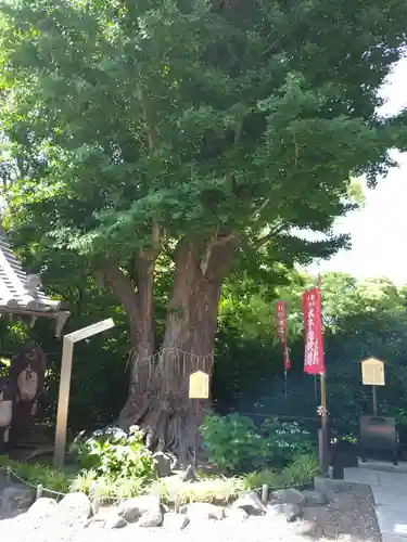 鎮護堂(東京都)