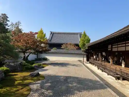 南禅寺の庭園