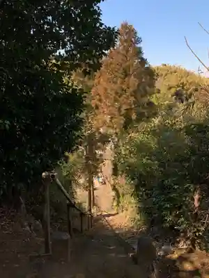 秋葉神社(千葉県)