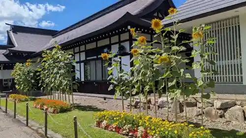 北海道護國神社の自然