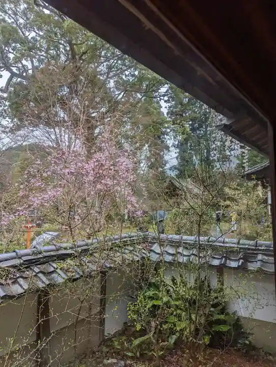 十輪寺(京都府)