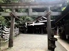 速川神社の鳥居