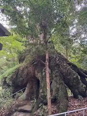 東霧島神社(宮崎県)