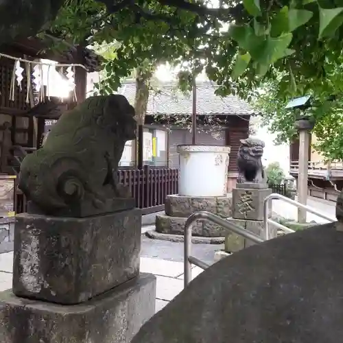 白髭神社の狛犬