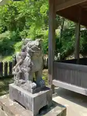 恵美酒神社の狛犬