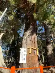 息栖神社の自然