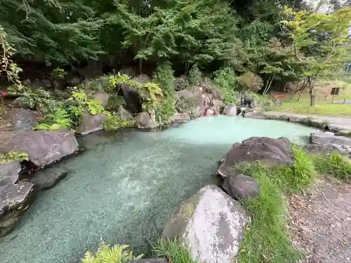 霧島神宮(鹿児島県)
