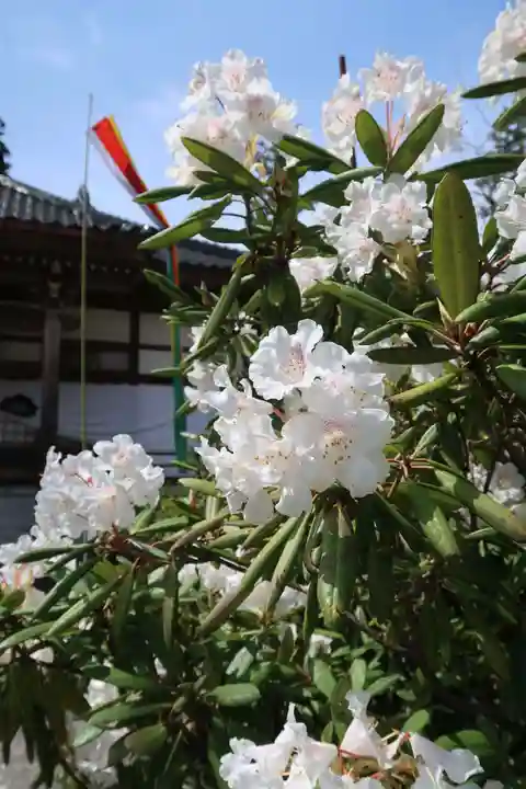 常楽寺(富山県)