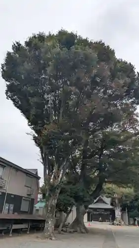 相原八幡宮(神奈川県)