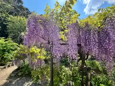 白毫寺熊野権現社(兵庫県)