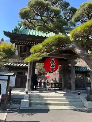 長谷寺の山門・神門